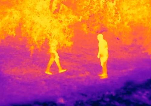 最终载荷在线视频,最终载荷的奥秘解析