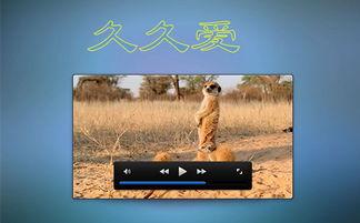 久久爱永久在线视频,畅享无界视听盛宴