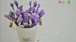 勿忘我在线视频108酱,探寻传统美食与现代创新的完美融合