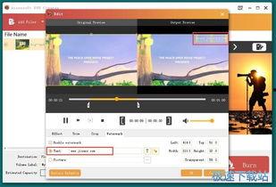在线视频镜像转换网站,探索在线网站的便捷功能